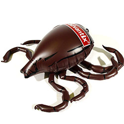 img05